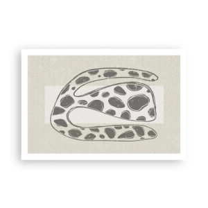 Poster - Curious Creature - 91x61 cm