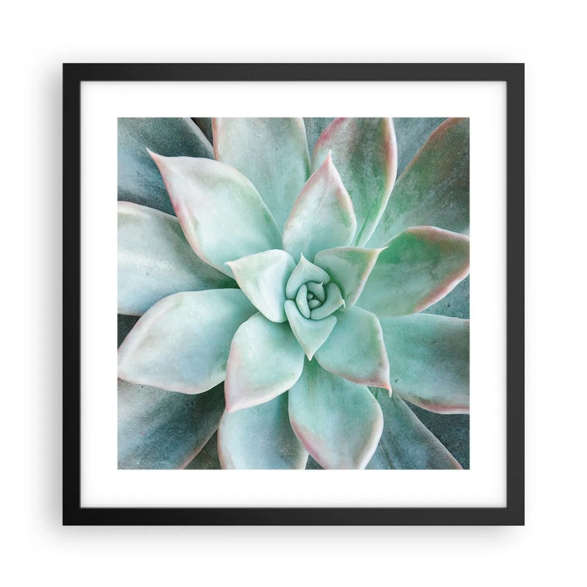 Poster in black frame - Heart of a Desert - 40x40 cm
