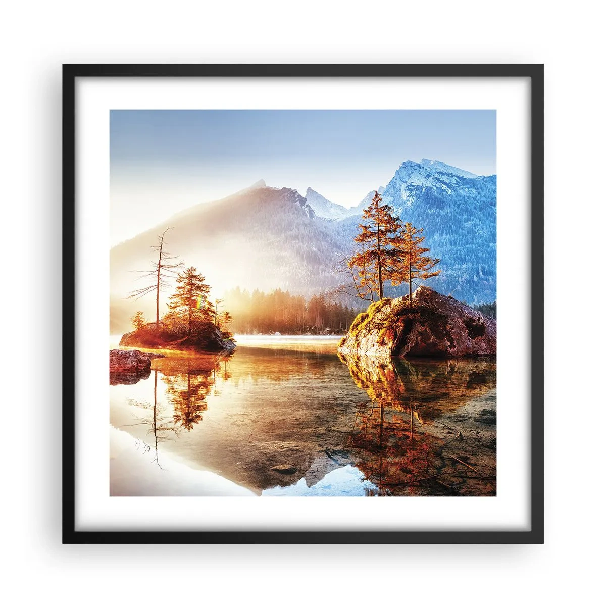 Poster in black frame - Nature in New Light - 50x50 cm