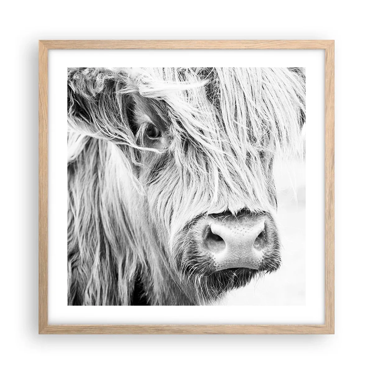 Poster in light oak frame - Scottish Wilderness - 50x50 cm