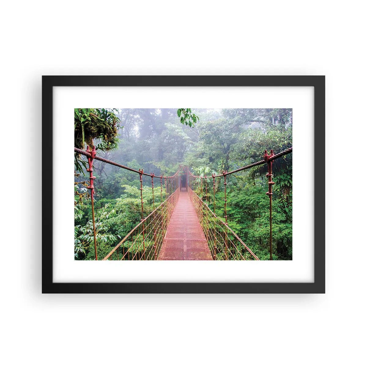 Poster in black frame - Suspended above Crowns - 40x30 cm