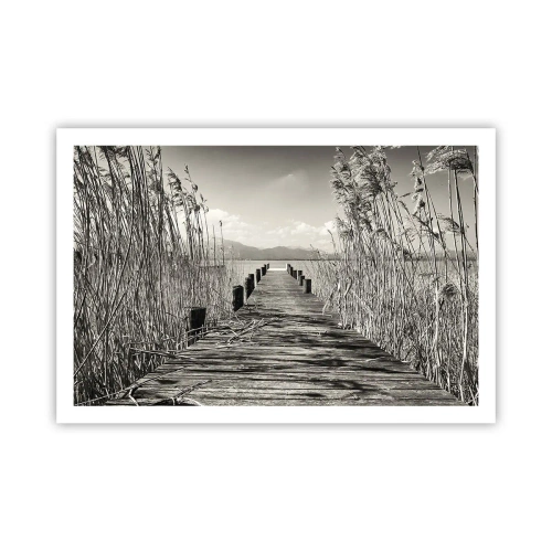 Poster - In the Grass - 91x61 cm