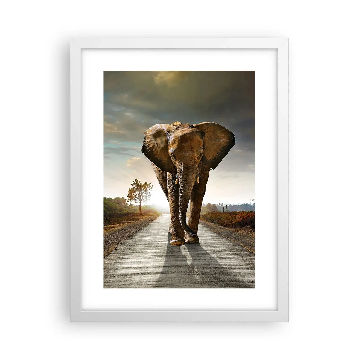 Poster in white frmae - Not in a China Shop - 30x40 cm