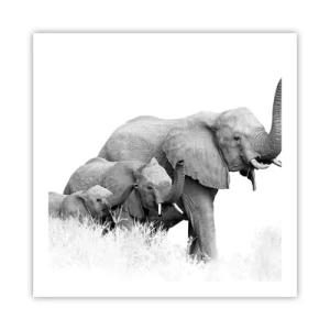 Poster - One, Two, Three - 60x60 cm