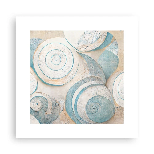Poster - What Does a Shell Hide? - 30x30 cm