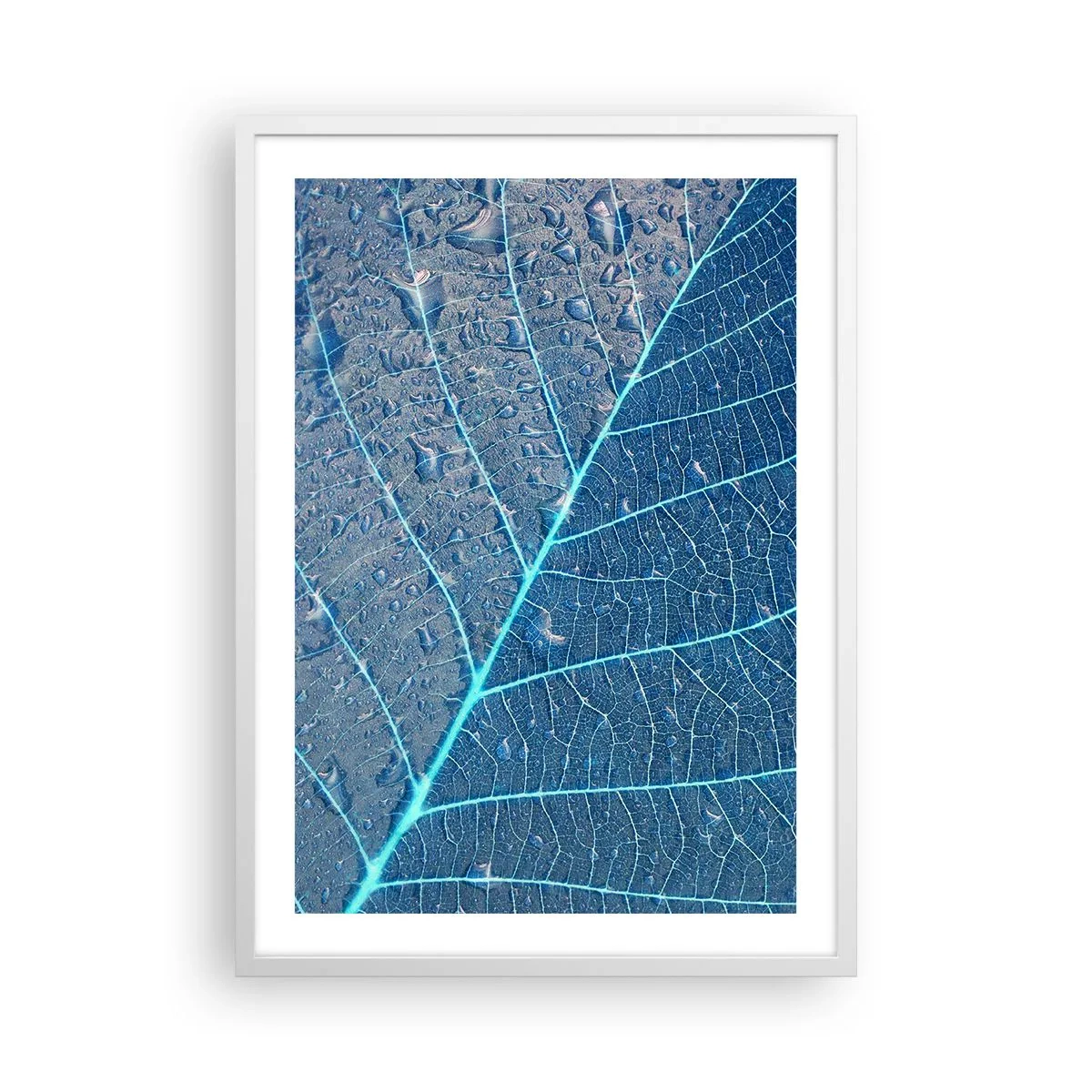 Poster in white frmae - Life in the Blue - 50x70 cm