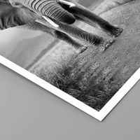 Unframed