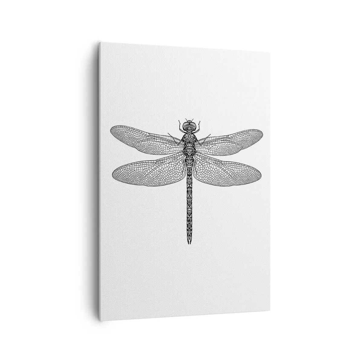 Canvas picture - Precision of Nature - 70x100 cm