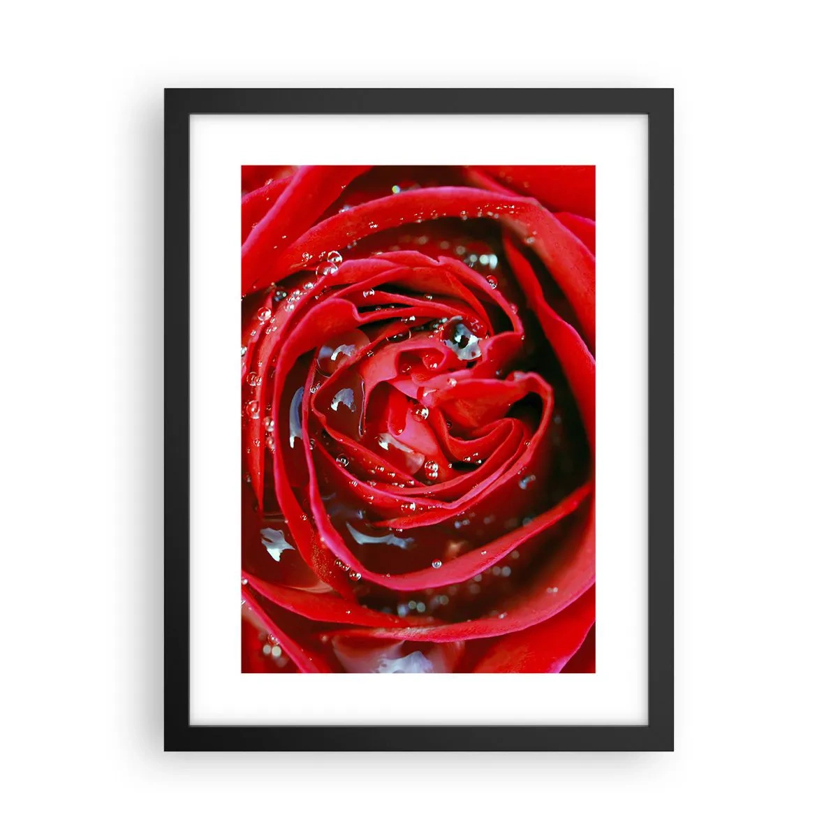 Poster in black frame - In Dew Drops - 30x40 cm