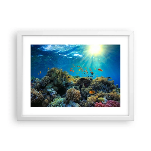 Poster in white frmae - Underwater Treasures - 40x30 cm