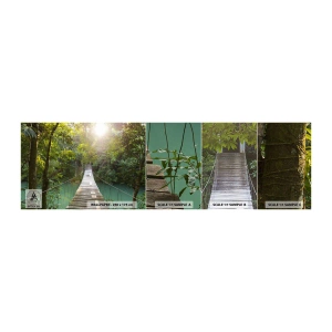 Photo Wallpaper Sample Self-Adhesive Deluxe Sticker - Azure Water in Azure Forest - Landscape, Jungle, Wooden Bridge - 100x30 cm