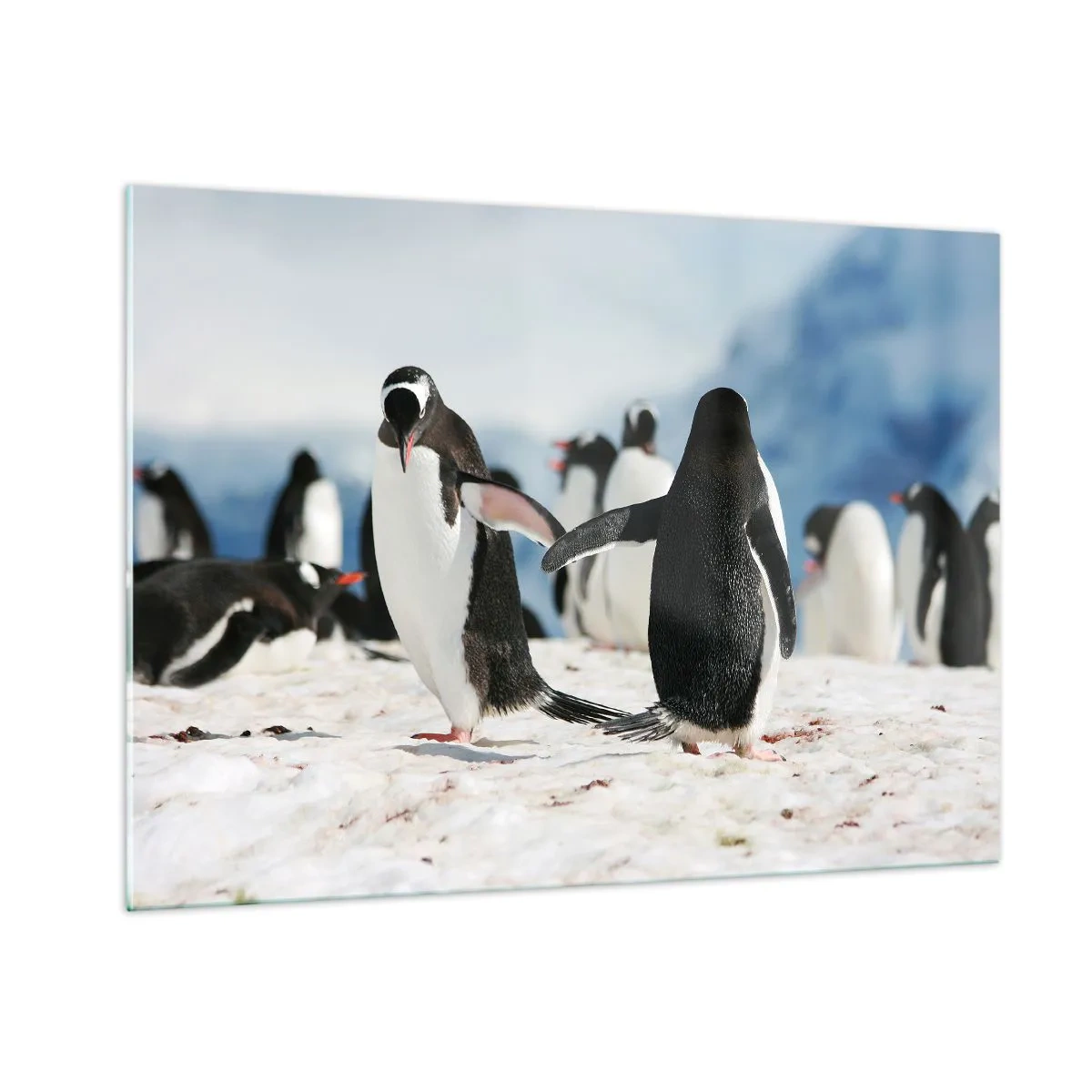 Glass picture - Dance in the Snow - 100x70 cm