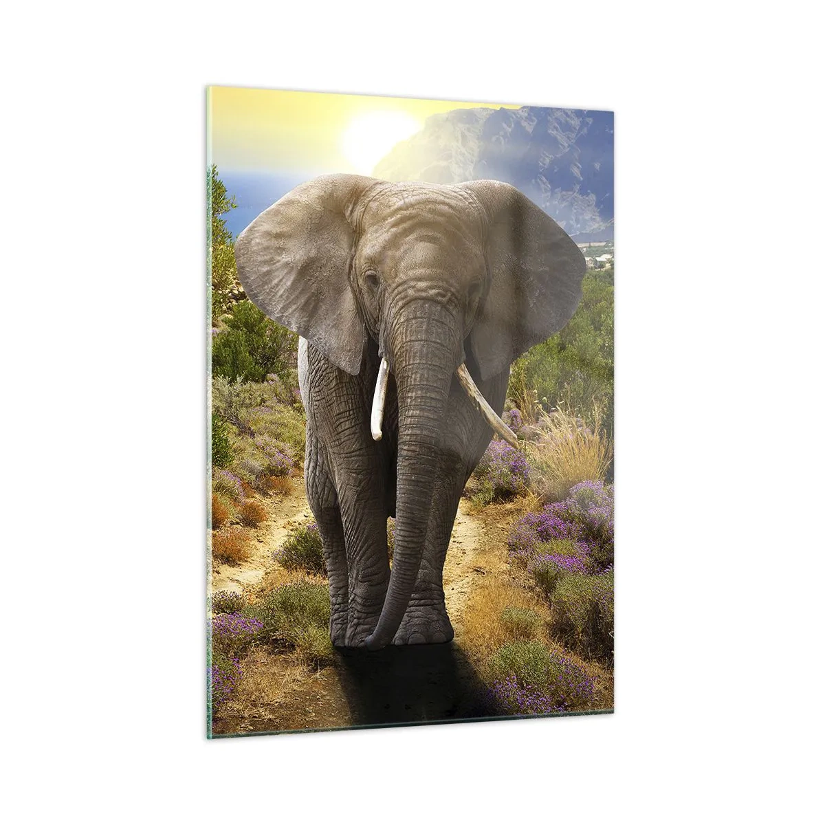 Glass picture - This is What Eden Looked Like - 50x70 cm