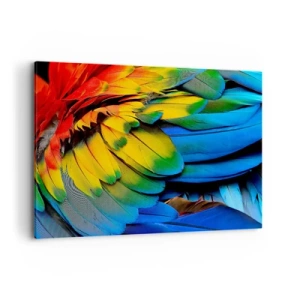 Canvas picture - Bird Of Paradise - 120x80 cm