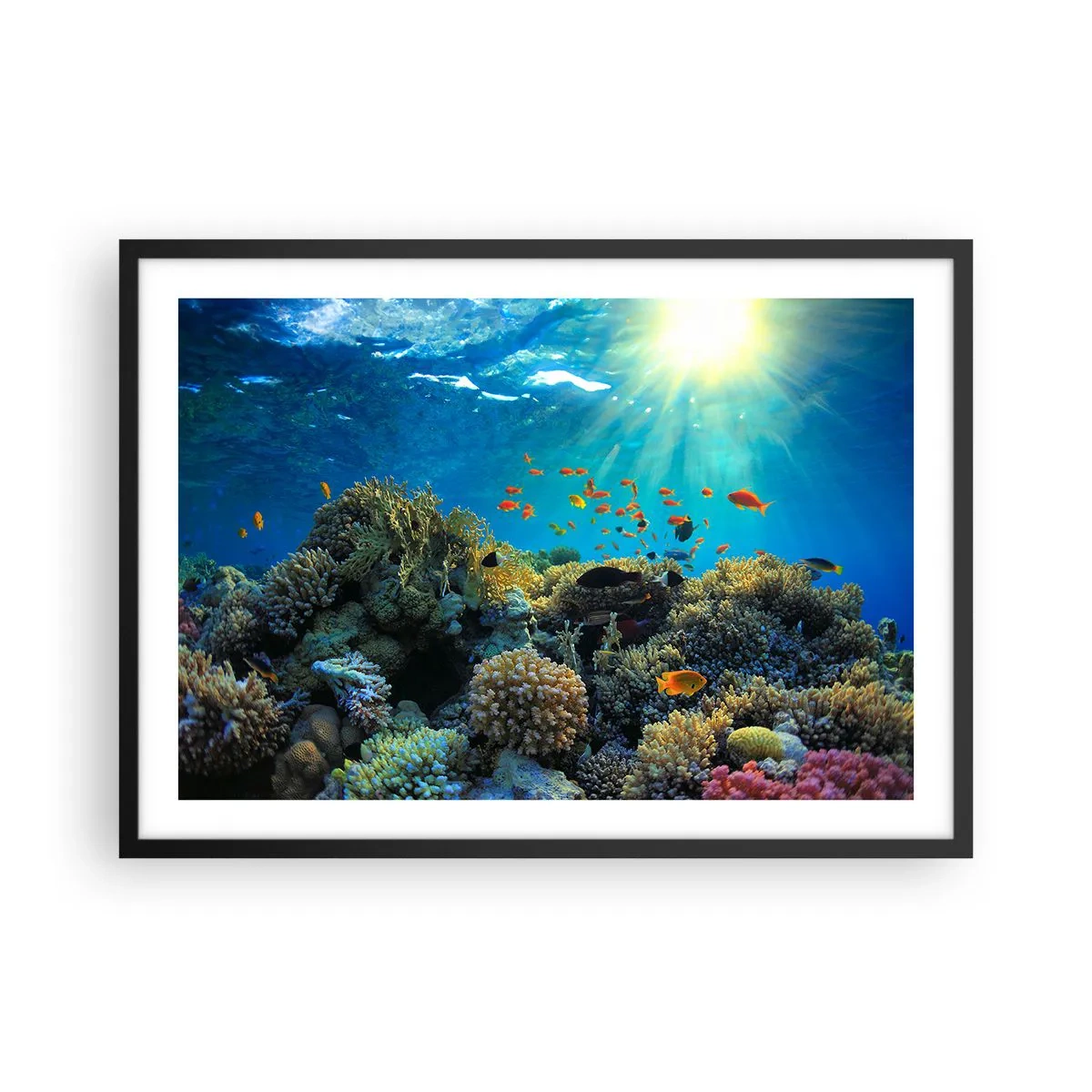 Poster in black frame - Underwater Treasures - 70x50 cm