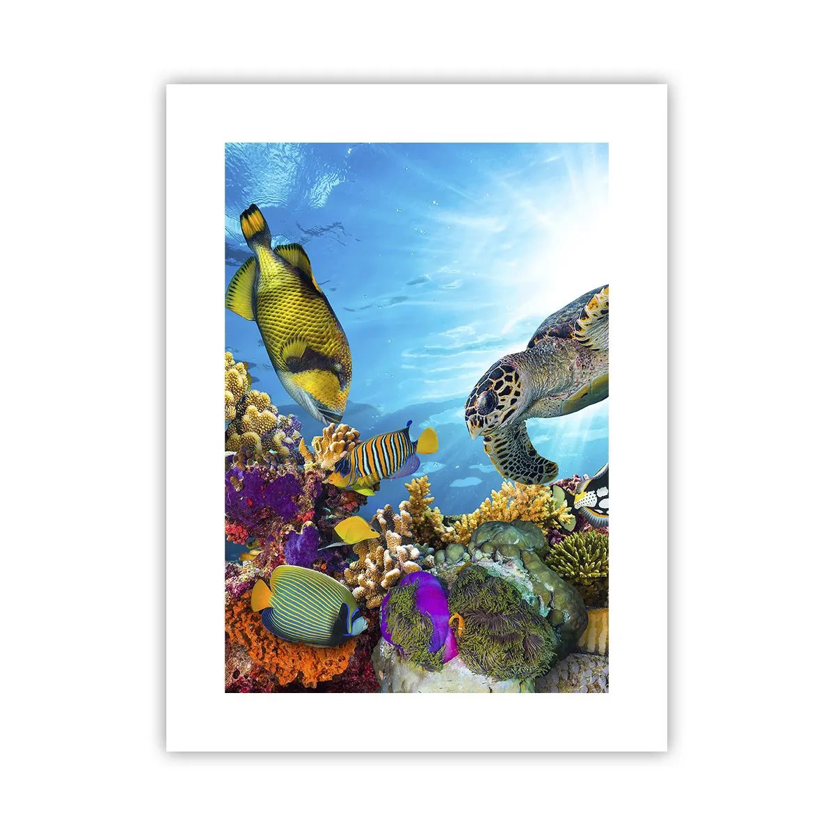 Poster - Coral Promenade - 30x40 cm