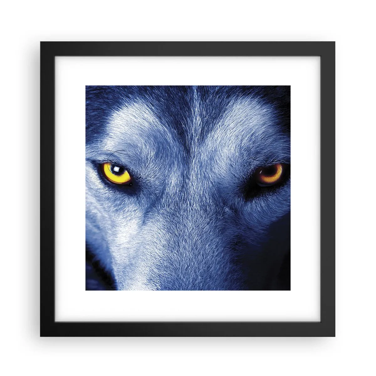 Poster in black frame - Mesmerising Look - 30x30 cm