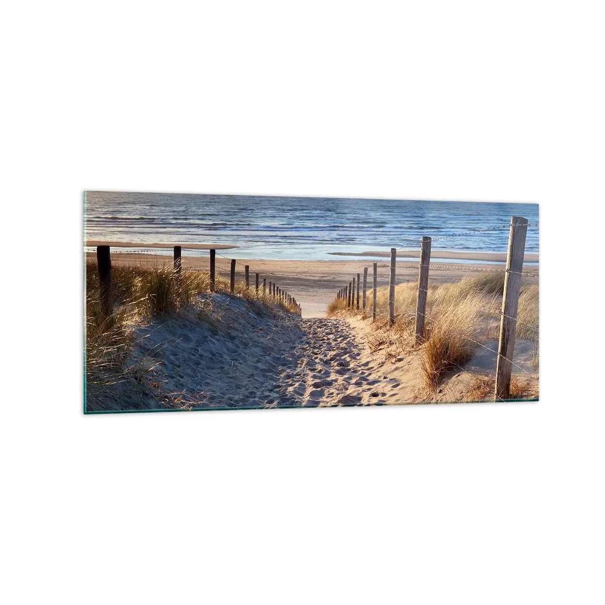 Glass picture - Sound of the Sea, Singing of the Birds, Wild Beach among Grass - 120x50 cm