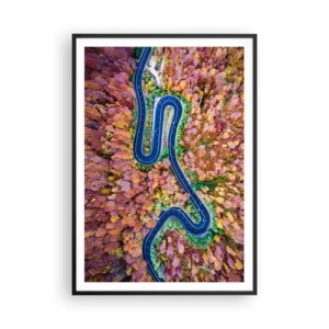 Poster in black frame - Winding Path through a Forest - 70x100 cm