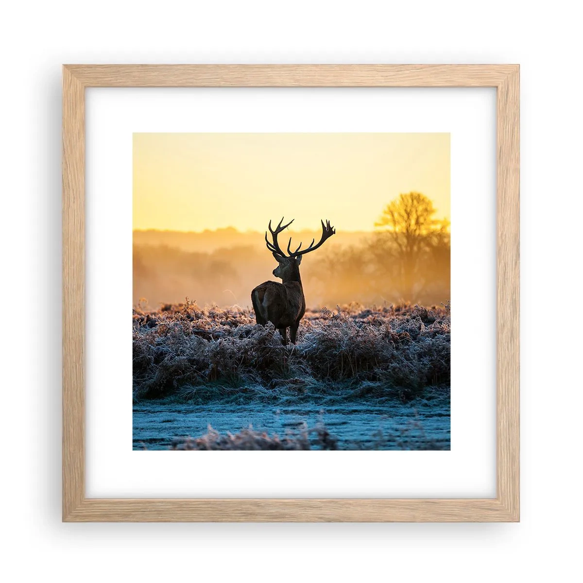 Poster in light oak frame - Crowned in Its Kingdom - 30x30 cm