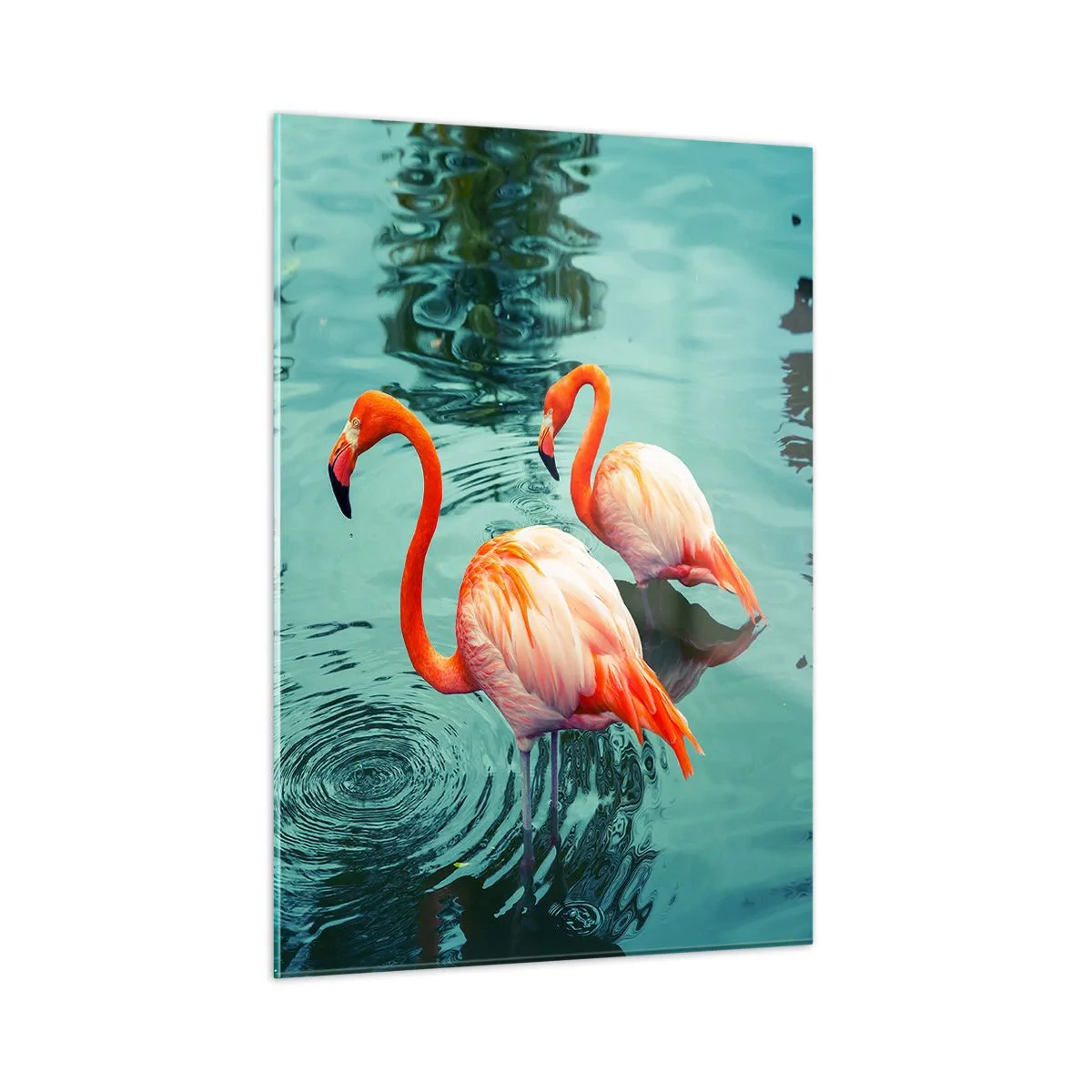 Glass picture - We Are En Vogue Now - 50x70 cm
