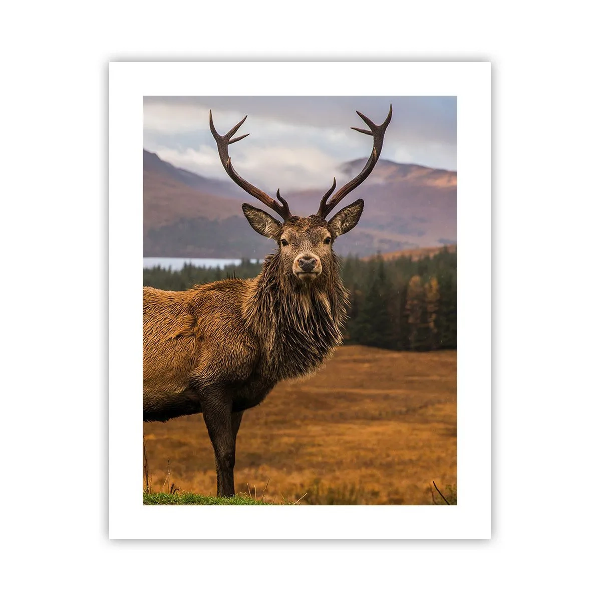 Poster - Majesty of Nature - 40x50 cm