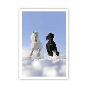Poster - Black and White Gallop - 70x100 cm