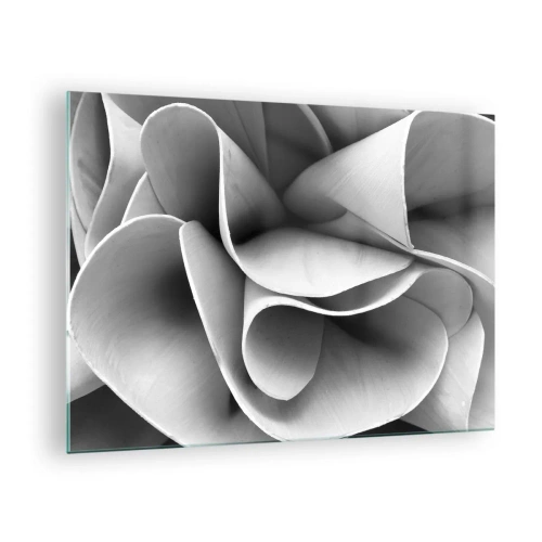 Glass picture - Black and white close-up of abstract spiral forms - 70x50cm - It Is Happening in Space - Modern wall decoration for the living room and bedroom ARTTOR