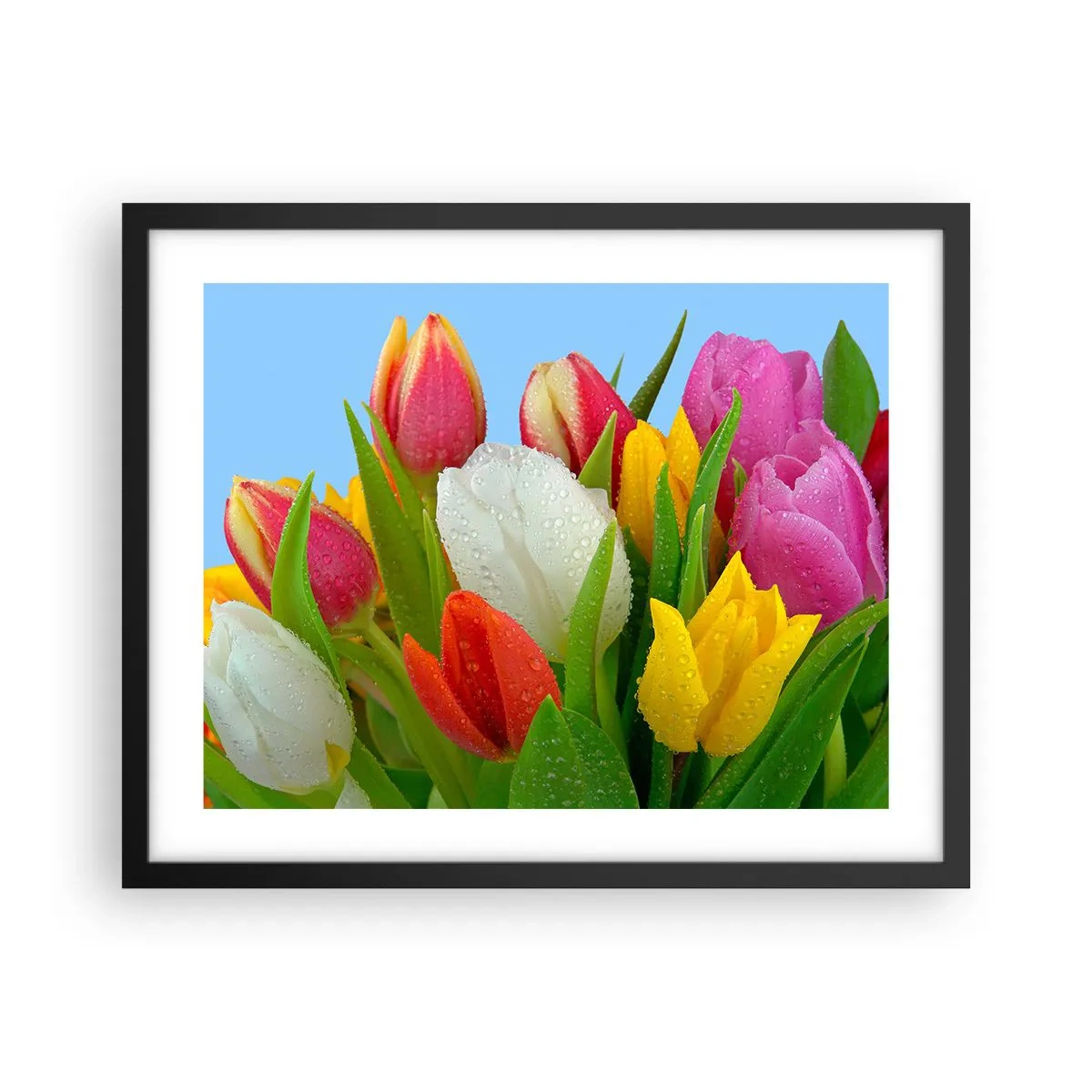Poster in black frame - Floral Rainbow in Dew Drops - 50x40 cm