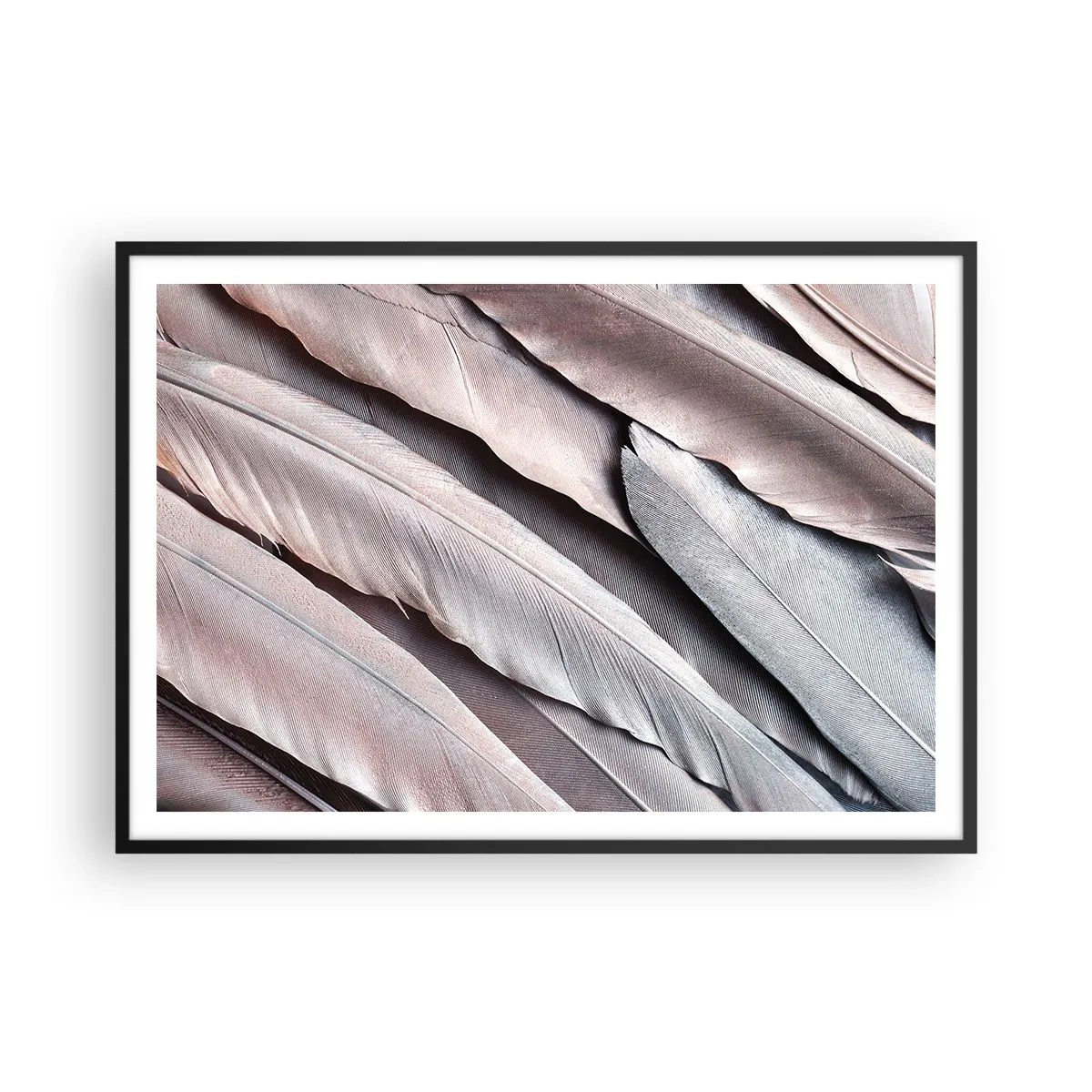 Poster in black frame - In Pink Silverness - 100x70 cm