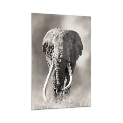 Glass picture - African Patriarch - 70x100 cm