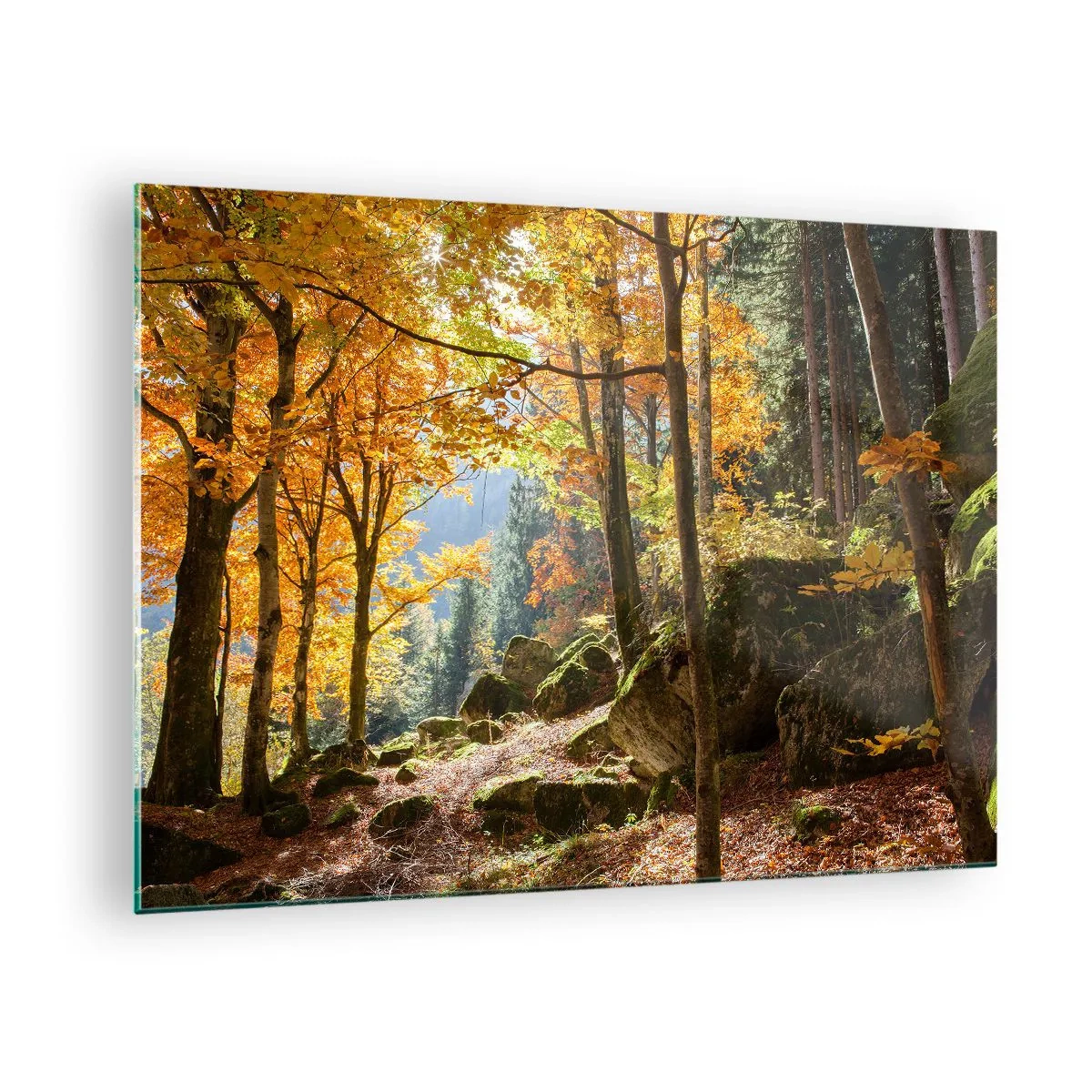 Glass picture - Autumn forest with sun rays and stones - 70x50cm - Time for Rest - Modern wall decoration for the living room and bedroom ARTTOR