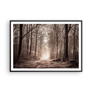 Poster in black frame - Cathedral of the Forest - 100x70 cm