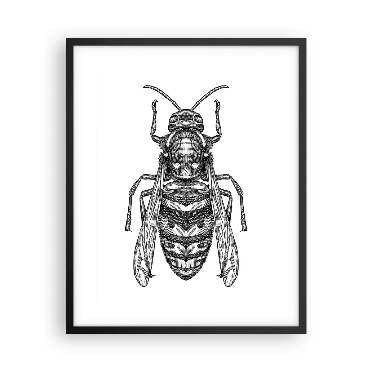 Poster in black frame - From Insect Planet - 40x50 cm