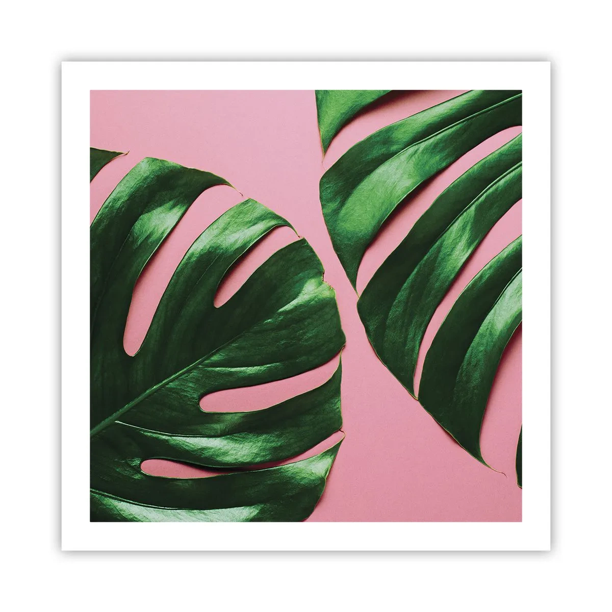 Poster - Green Rendezvous - 60x60 cm