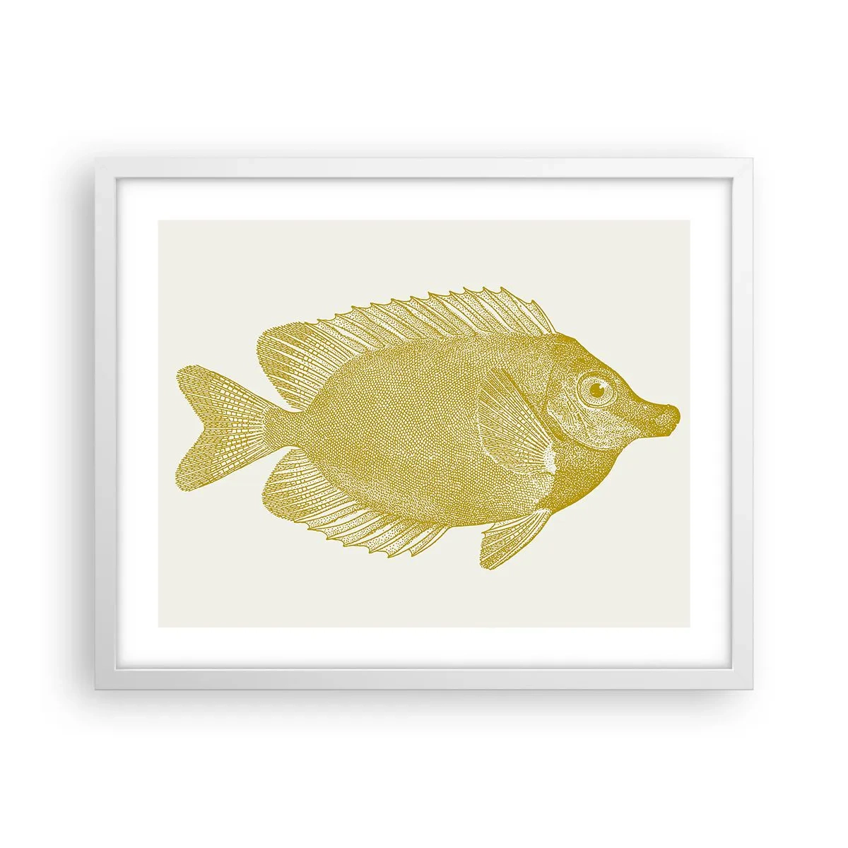 Poster in white frmae - Just a Fish - 50x40 cm