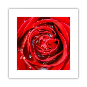 Poster - In Dew Drops - 30x30 cm