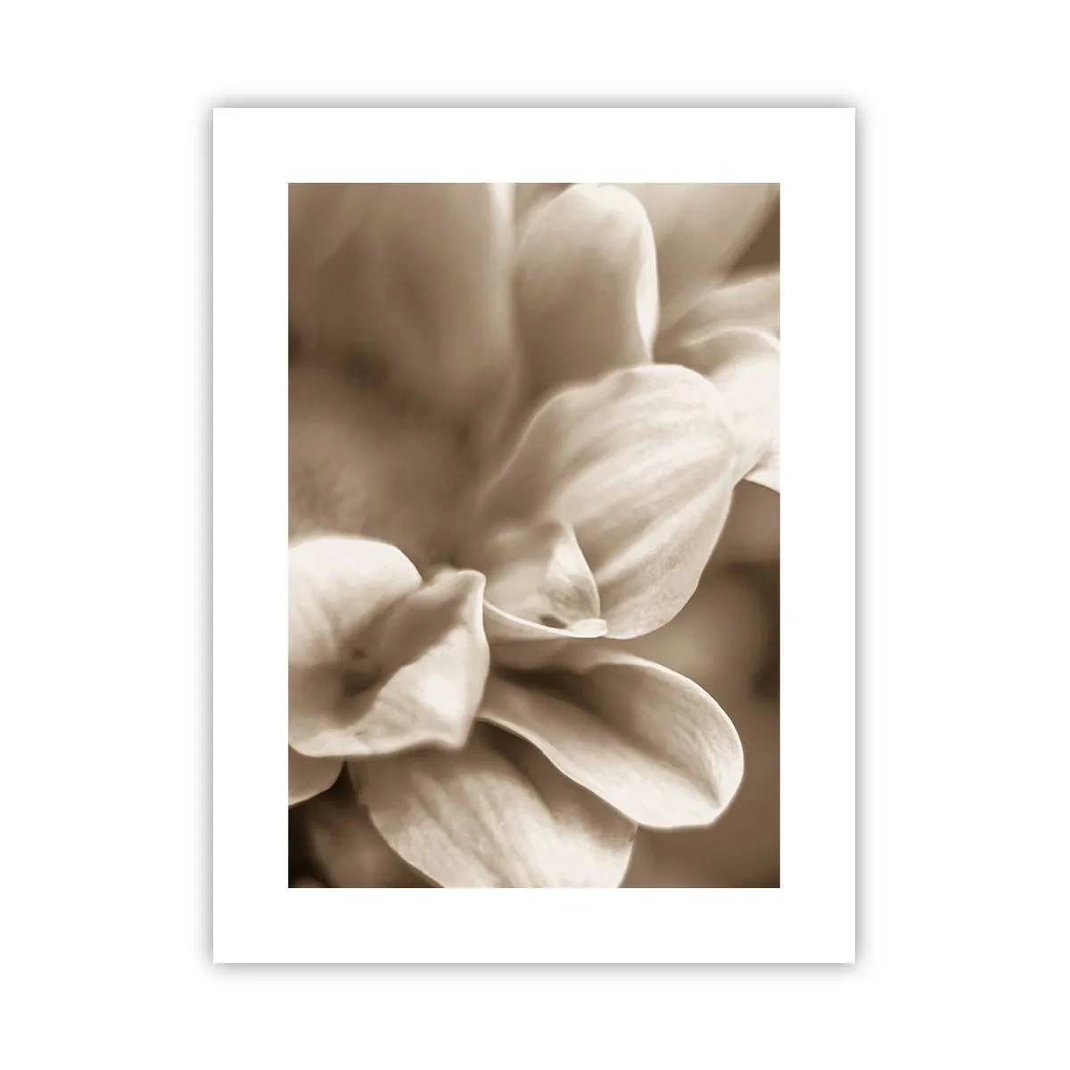 Poster - Soft as a Smile - 30x40 cm