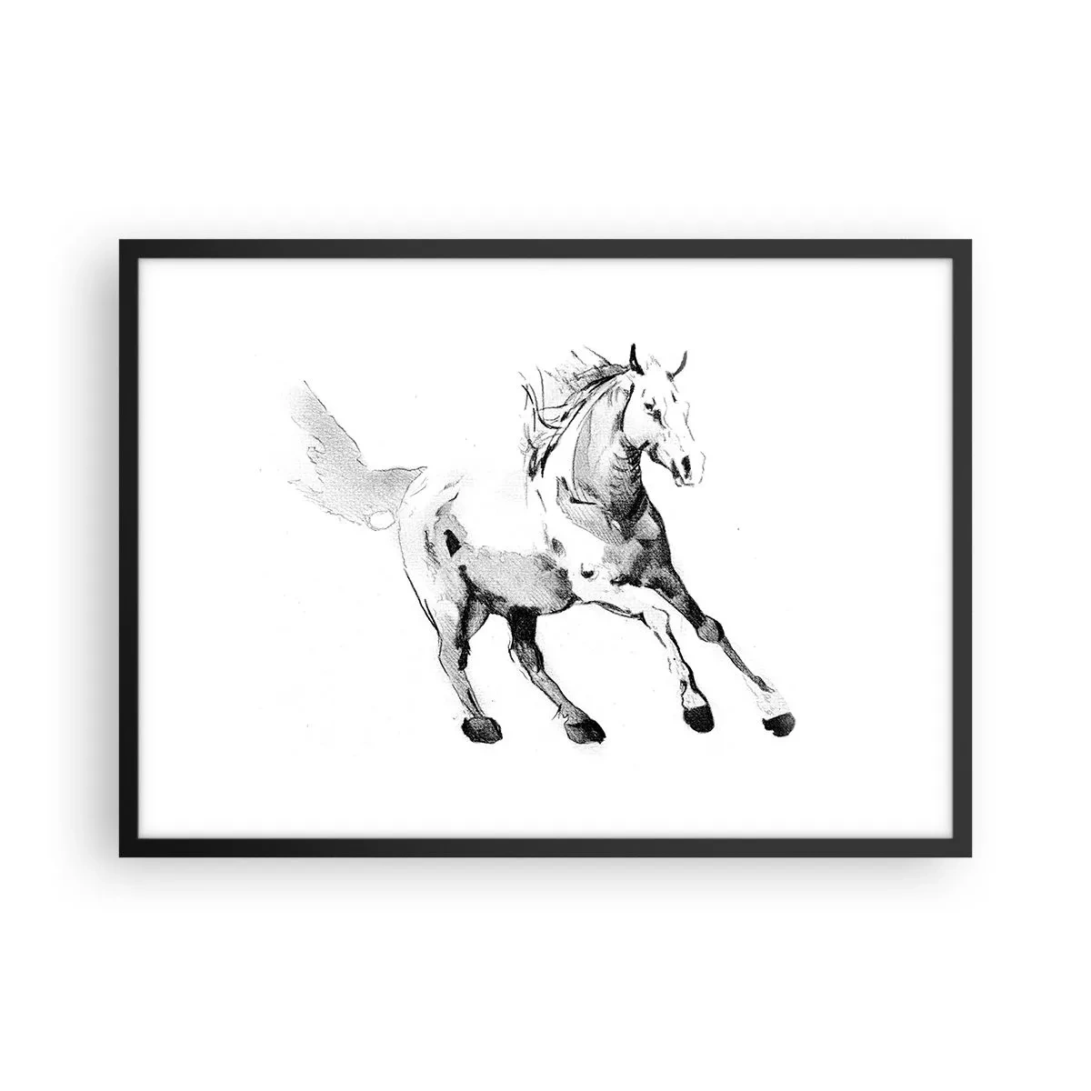 Poster in black frame - Untamed Soul - 70x50 cm