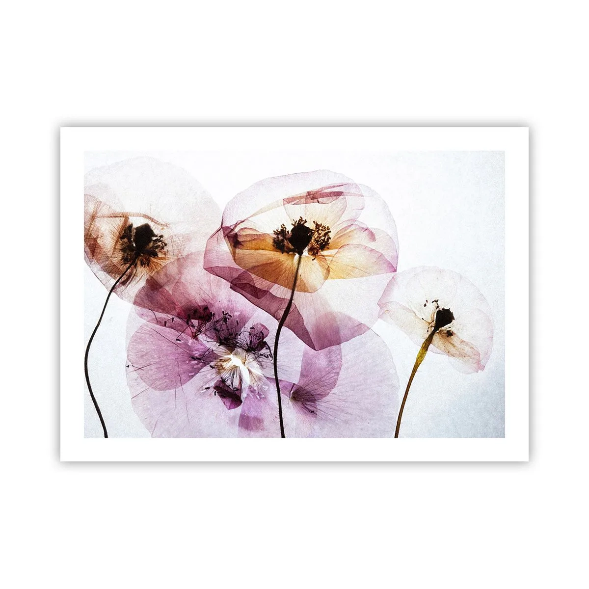 Poster - Flower Body Slide - 70x50 cm