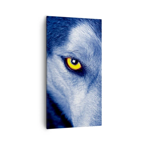 Canvas picture - Mesmerising Look - 55x100 cm