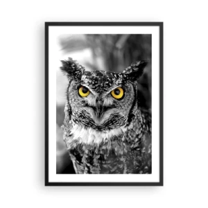 Poster in black frame - An owl with yellow eyes on a black and white background - 50x70cm - Nothing Can Hide - Modern wall decoration for the living room and bedroom ARTTOR