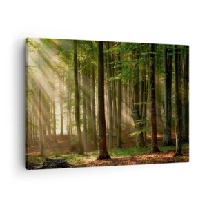 Canvas picture - Sun rays penetrating through the trees in the forest - 70x50cm - Beaming in Spring Morning - Modern wall decoration for the living room and bedroom ARTTOR