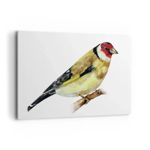 Canvas picture - Bird Portrait  - 100x70 cm
