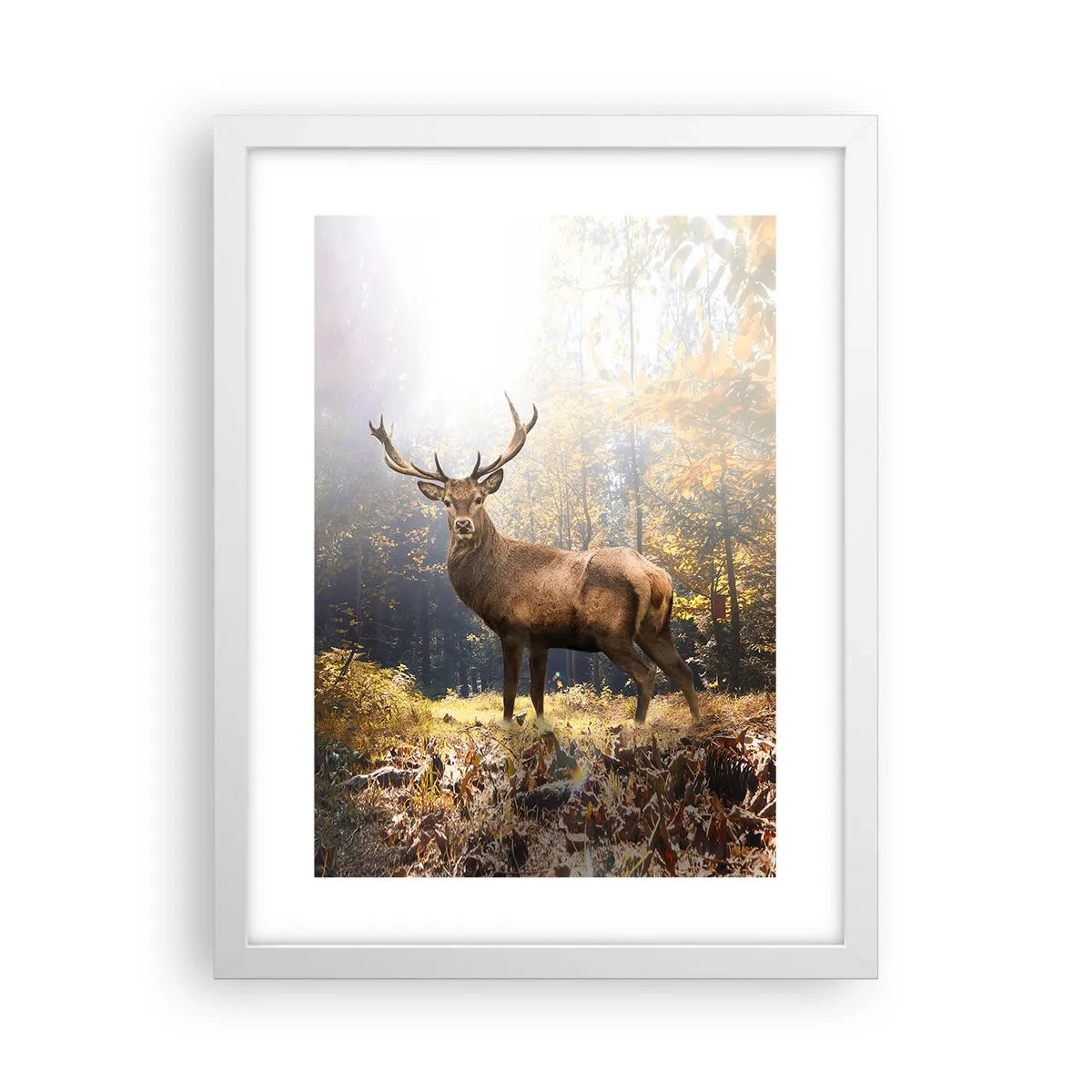 Poster in white frmae - In Full Majesty - 30x40 cm
