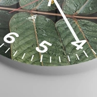 Clock face with numbers