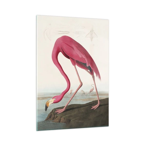 Glass picture - Curious Creature - 50x70 cm