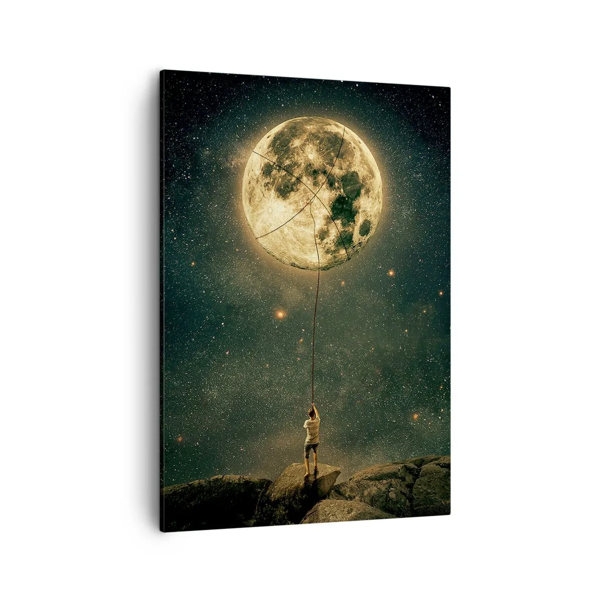 Canvas picture - One that Stole the Moon - 50x70 cm