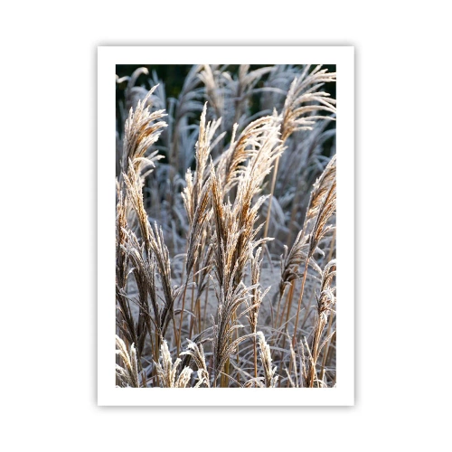 Poster - Decorated with Frost - 50x70 cm