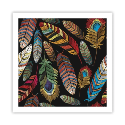 Poster - Bird Carnival - 60x60 cm